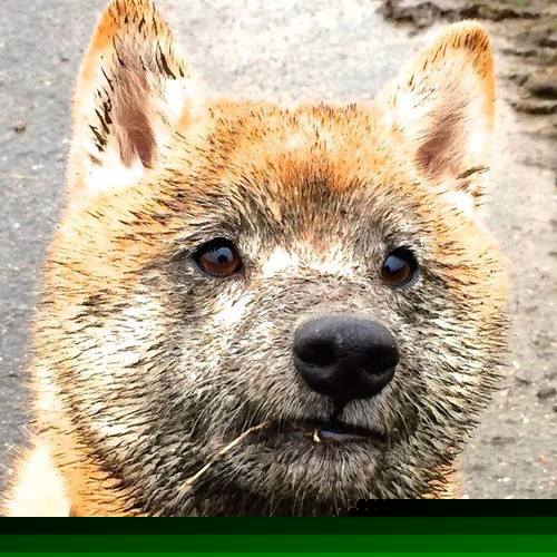 绝境之光，凯恩压哨一击，巴萨险胜南非背后的战术革命