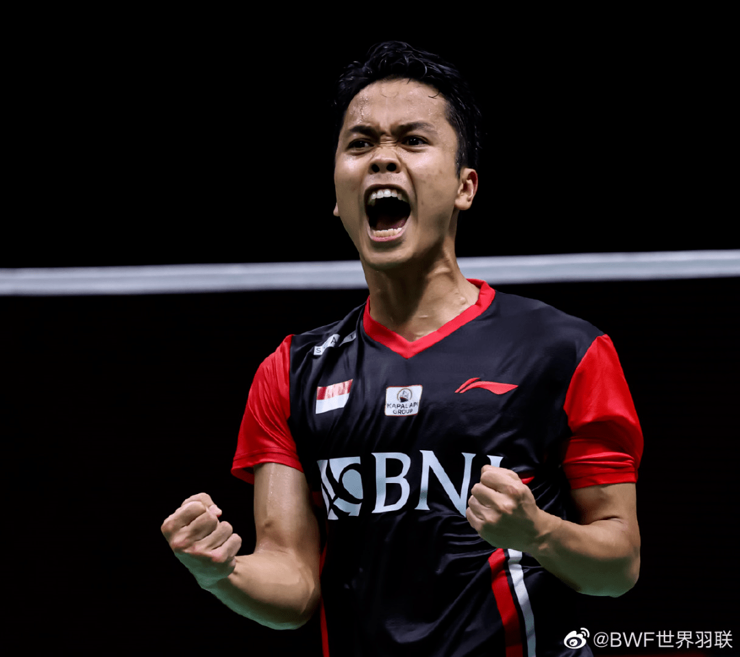 关于马来西亚队翻盘法国队，戴资颖状态火热的信息